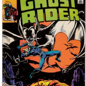 GHOST RIDER (1973-1983 SERIES) #48: VF/NM (9.0)
