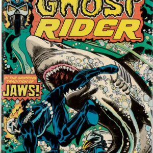 GHOST RIDER (1973-1983 SERIES) #16: FN (6.0)