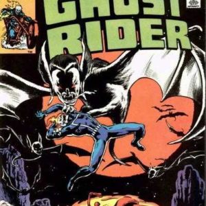 GHOST RIDER (1973-1983 SERIES) #48: VF/NM (9.0)
