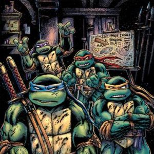 TEENAGE MUTANT NINJA TURTLES (2011-2024: VARIANT) #86: Kevin Eastman cover