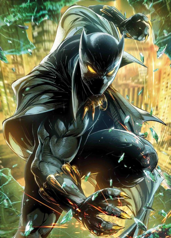 BLACK PANTHER (2018 SERIES) #5: #5 Max Lim Marvel Battle Lines cover