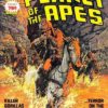 PLANET OF THE APES (1970’S MAGAZINE) #14