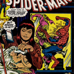 AMAZING SPIDER-MAN (Y) #178 AMAZING SPIDER-MAN (Y) #178
