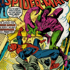 AMAZING SPIDER-MAN (Y) #179 AMAZING SPIDER-MAN (Y) #179