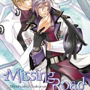 MISSING ROAD