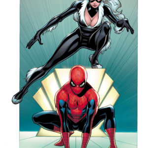 AMAZING SPIDER-MAN (2018-2022 SERIES) #9: #9 Mike Weiringo Black Cat cover