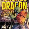 SAVAGE DRAGON (1993- SERIES: VARIANT EDITION) #225: Frank Fosco cover B