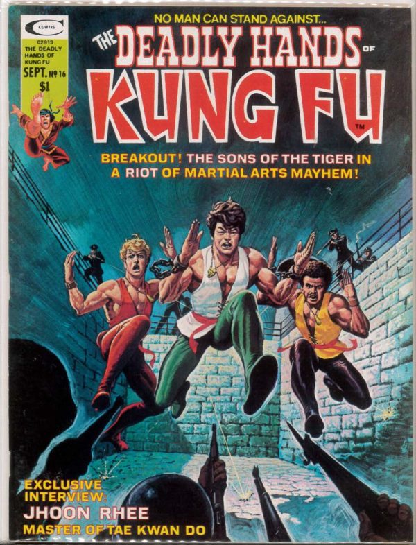 DEADLY HANDS OF KUNG FU #16: 9.4 (NM)