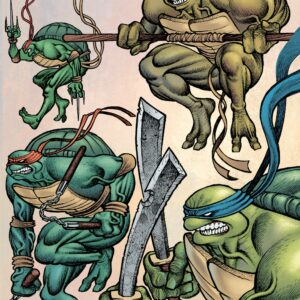 TEENAGE MUTANT NINJA TURTLES (2011-2024: VARIANT) #113: Matt Lesniewski RI cover