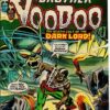STRANGE TALES (1951-1976 SERIES) #172: Brother Voodoo – 9.6 (NM)