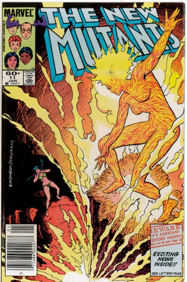 NEW MUTANTS (1982-1991 SERIES) #11: Newsstand Edition