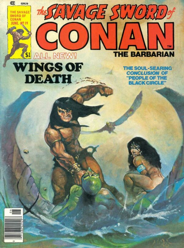 SAVAGE SWORD OF CONAN (1973-1995 SERIES) #19: 9.2 (NM)