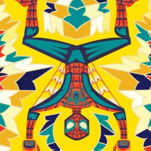 AMAZING SPIDER-MAN (2018-2022 SERIES) #52: Jeffrey Veregge Spider-man Native American Heritage Tribute