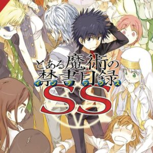 A CERTAIN MAGICAL INDEX SS LIGHT NOVEL #1