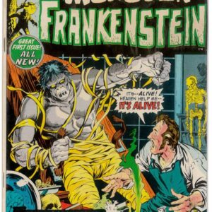 FRANKENSTEIN, THE MONSTER OF #1
