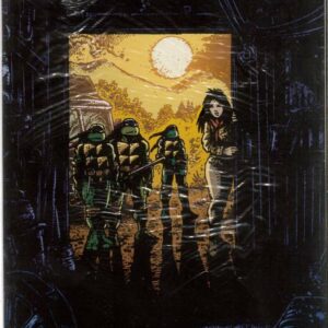 TEENAGE MUTANT NINJA TURTLES (2011-2024: VARIANT) #29: Kevin Eastman cover B