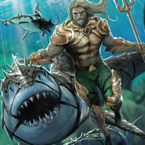 AQUAMAN (2016-2020 SERIES: VARIANT EDITION) #62: Lee Bermejo Batman Nightwing cover B
