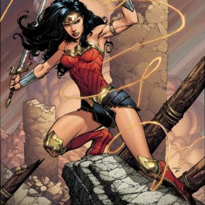 WONDER WOMAN (2016-2019 SERIES: VARIANT EDITION) #69: David Finch cover