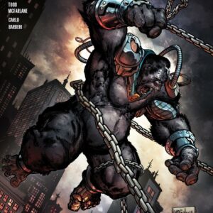 SPAWN (VARIANT EDITION) #319: Todd McFarlane cover B