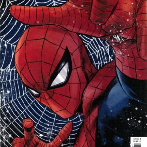 AMAZING SPIDER-MAN (2018-2022 SERIES) #74: Marco Checchetto cover
