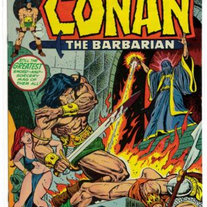 CONAN THE BARBARIAN (1970-1993 SERIES) #29: 9.8 (M)