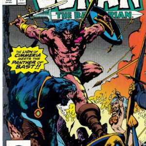 CONAN THE BARBARIAN (1970-1993 SERIES) #226: VG/FN CONAN THE BARBARIAN (1970-1993 SERIES) #226: VG/FN