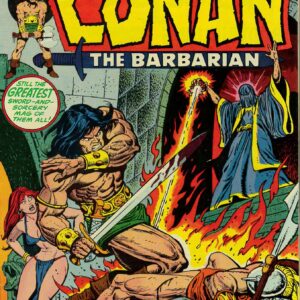 CONAN THE BARBARIAN (1970-1993 SERIES) #29: 9.6 (M)