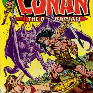 CONAN THE BARBARIAN (1970-1993 SERIES) #30: 9.6 (NM)