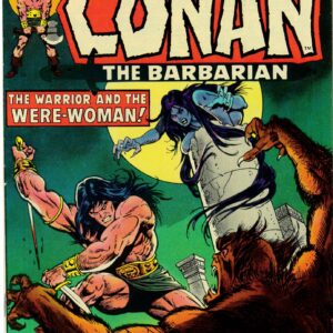 CONAN THE BARBARIAN (1970-1993 SERIES) #38: 8.0 (VF)