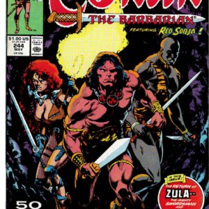 CONAN THE BARBARIAN (1970-1993 SERIES) #244: 9.2 (NM)