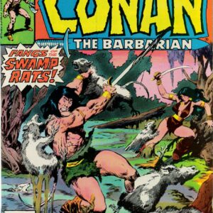 CONAN THE BARBARIAN (1970-1993 SERIES) #91: 9.8 (NM)