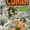 CONAN THE BARBARIAN (1970-1993 SERIES) #105: Newsstand Edition – FN (Minor tears on front cover)