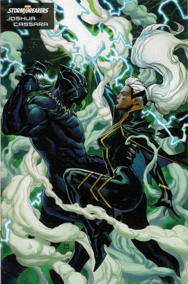 BLACK PANTHER: LEGENDS #2: Joshua Cassara Stormbreakers cover