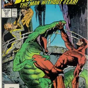 DAREDEVIL (1964-2018 SERIES) #247: Black Widow: Direct