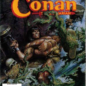 SAVAGE SWORD OF CONAN (1973-1995 SERIES) #226: Newsstand Edition – NM