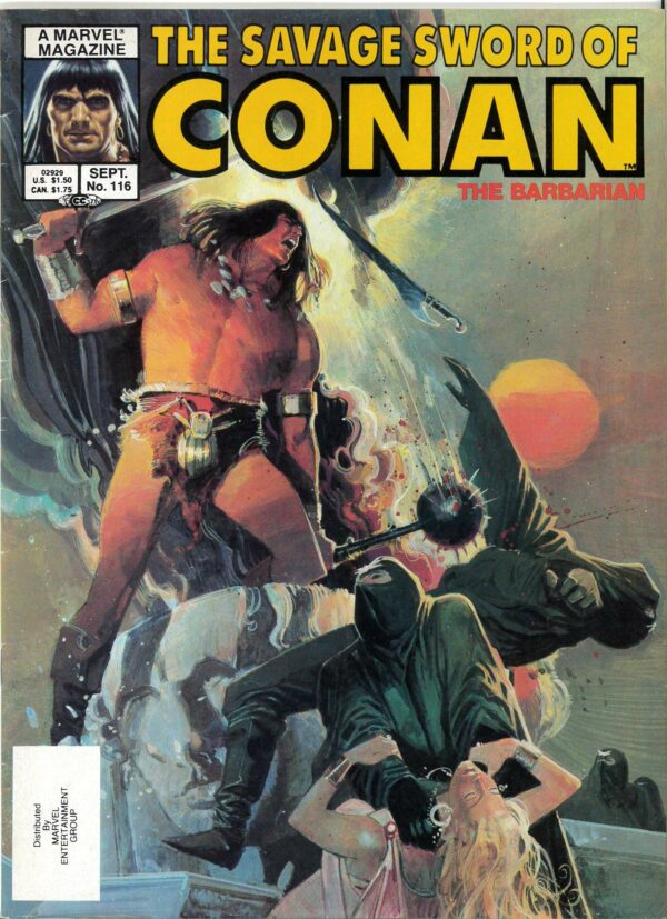 SAVAGE SWORD OF CONAN (1973-1995 SERIES) #116: NM