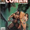 SAVAGE SWORD OF CONAN (1973-1995 SERIES) #165: Newsstand Edition – VF