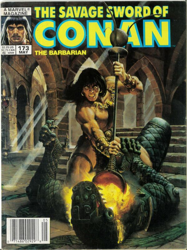 SAVAGE SWORD OF CONAN (1973-1995 SERIES) #173: Newsstand Edition – VF