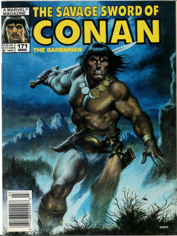 SAVAGE SWORD OF CONAN (1973-1995 SERIES) #171: Newsstand Edition – NM
