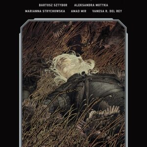 WITCHER LIBRARY EDITION (HC) #2: NM
