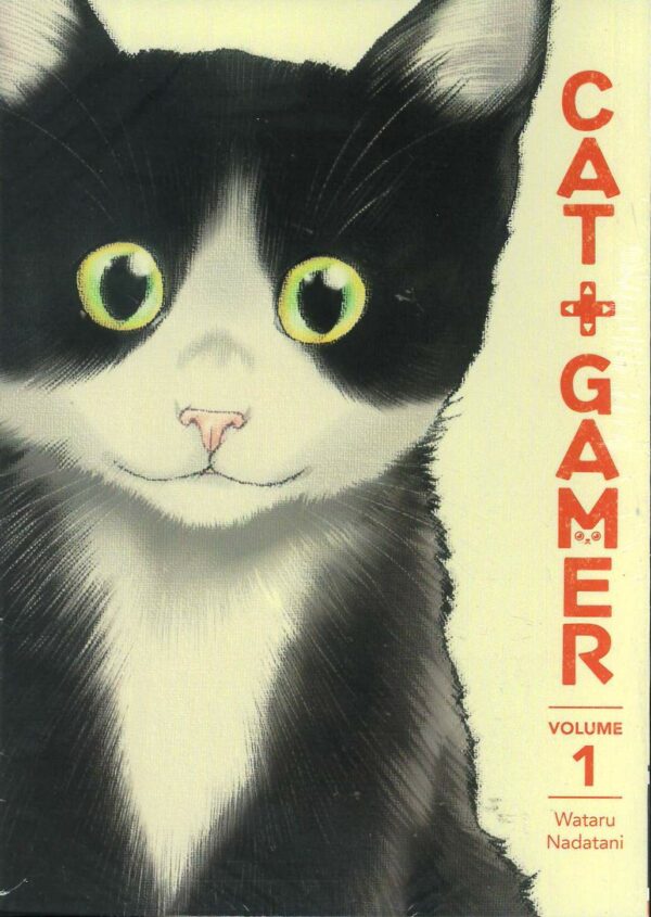 CAT GAMER TP #1