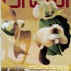 OMNI MAGAZINE (1978-1995 SERIES) #402: Volume 4 Issue 2 (November) – NM
