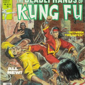 DEADLY HANDS OF KUNG FU #33: Daughters of the Dragon – FN