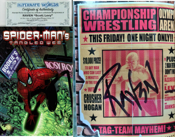 SPIDER-MAN TP: TANGLED WEB #3: Signed by Raven (Scott Levy) (COA) – NM