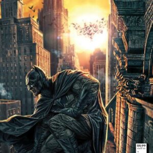 DETECTIVE COMICS (1935- SERIES: VARIANT EDITION) #1062: Lee Bermejo cover B