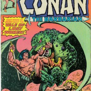 CONAN THE BARBARIAN (1970-1993 SERIES) #104: Newsstand: VG/FN