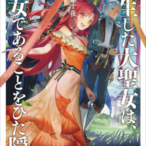 A TALE OF THESECRET SAINT LIGHT NOVEL #4 A TALE OF THESECRET SAINT LIGHT NOVEL #4