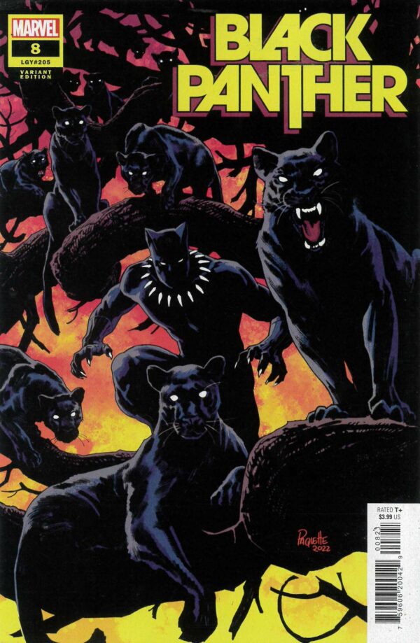 BLACK PANTHER (2021 SERIES) #8: Yanick Paquette cover B