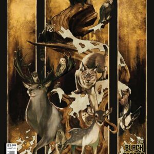 FABLES #154: Qistina Khalidah cover A FABLES #154: Qistina Khalidah cover A