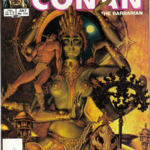 SAVAGE SWORD OF CONAN (1973-1995 SERIES) #114